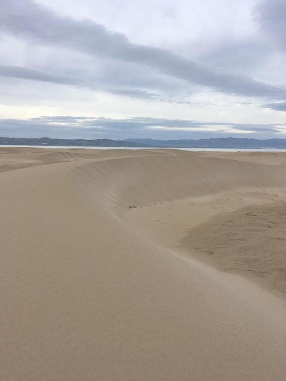 Origens I - Precioso El Perello (Catalonia)