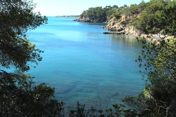 Origens I - Precioso * El Perello (Catalonia)